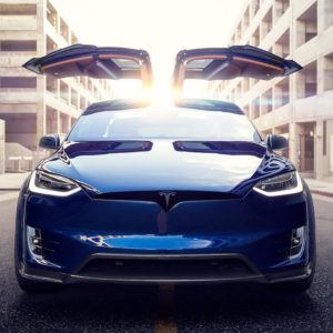 Gurtclip für Sicherheitsgurte - Forcar Concepts - Tesla Tuning